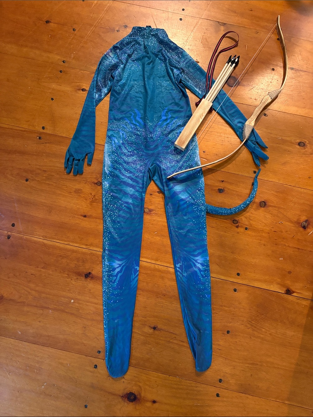 Avatar Halloween Costume